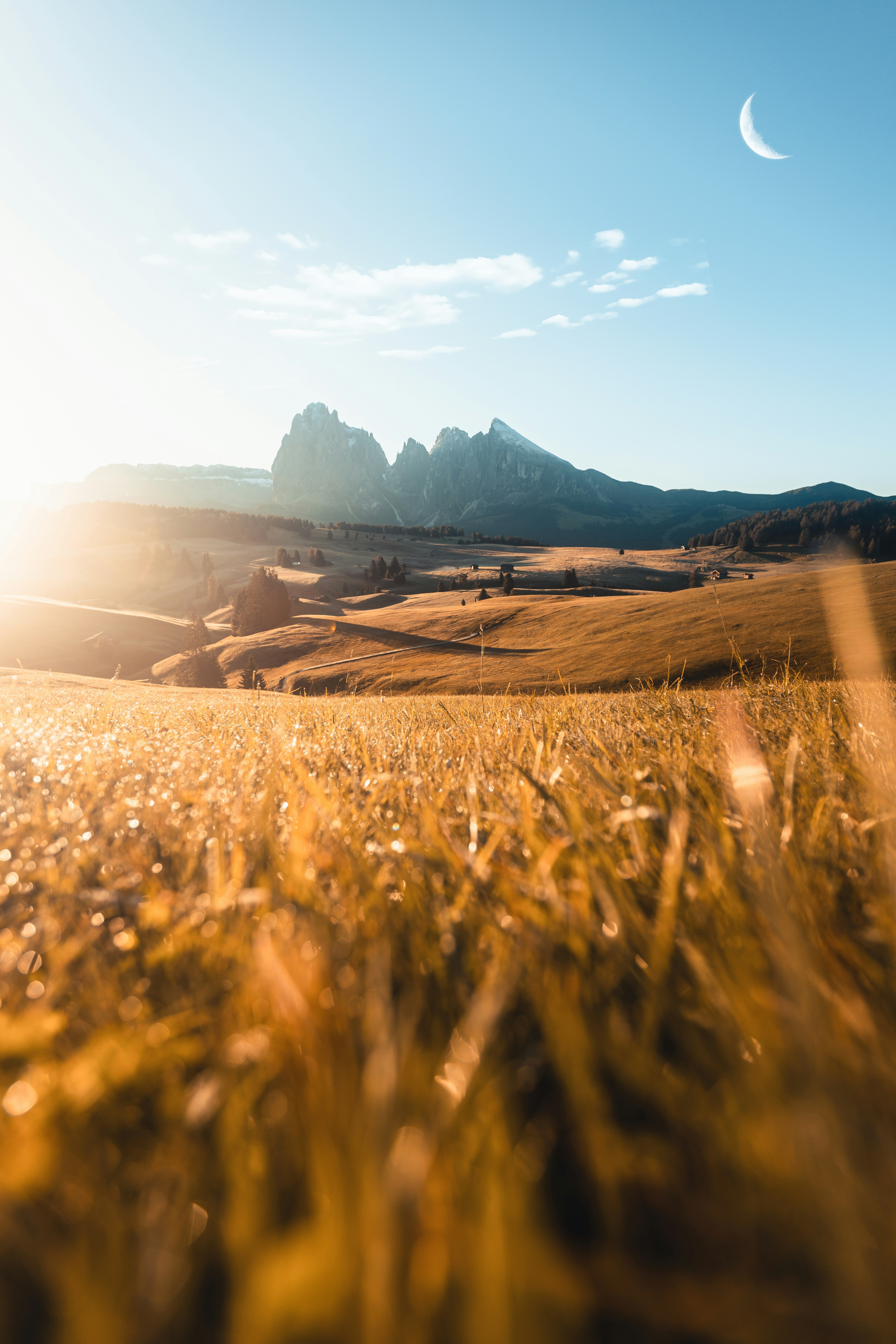 brown grass field near mountain during daytime